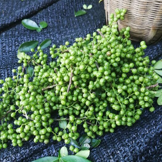 昆明青花椒  请大家放心