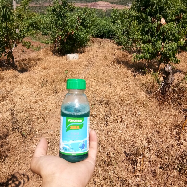 永农金百速龙旋风百速顿10%精草铵膦铵盐除草剂杂草农药批发