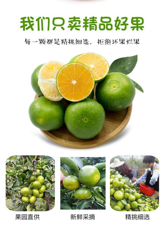 蜜桔