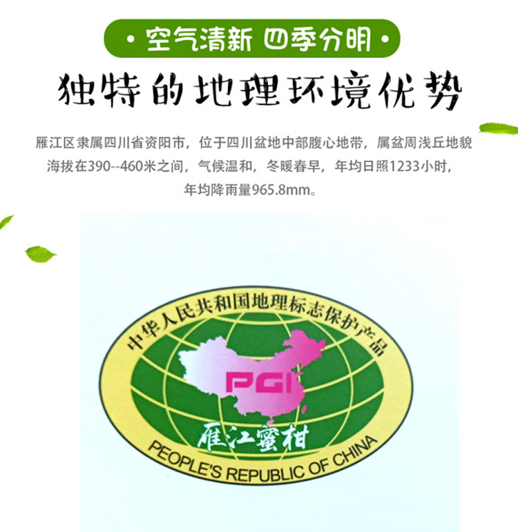 蜜桔