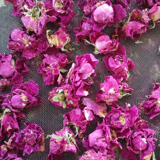 抚顺玫瑰花茶 烘干玫瑰花/玫瑰原液/花瓣