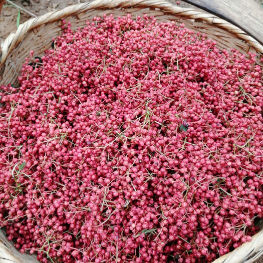 宝鸡青花椒 自家种植，高山凤椒，低价出售