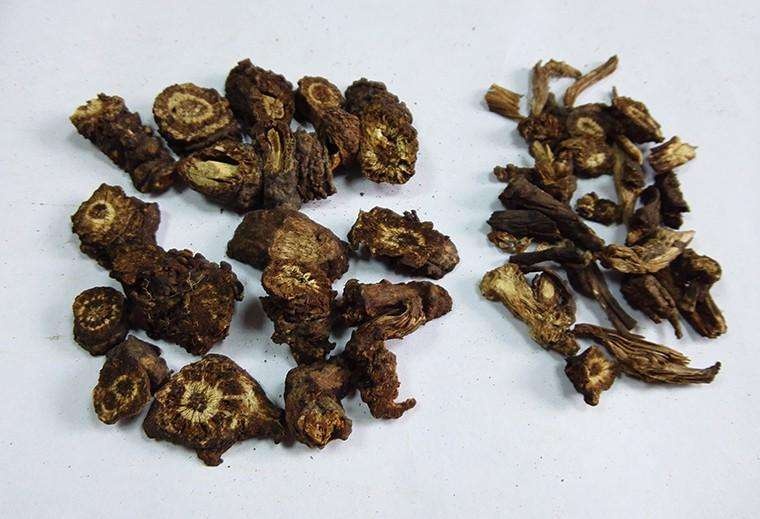 门源县 青海鲜羌活