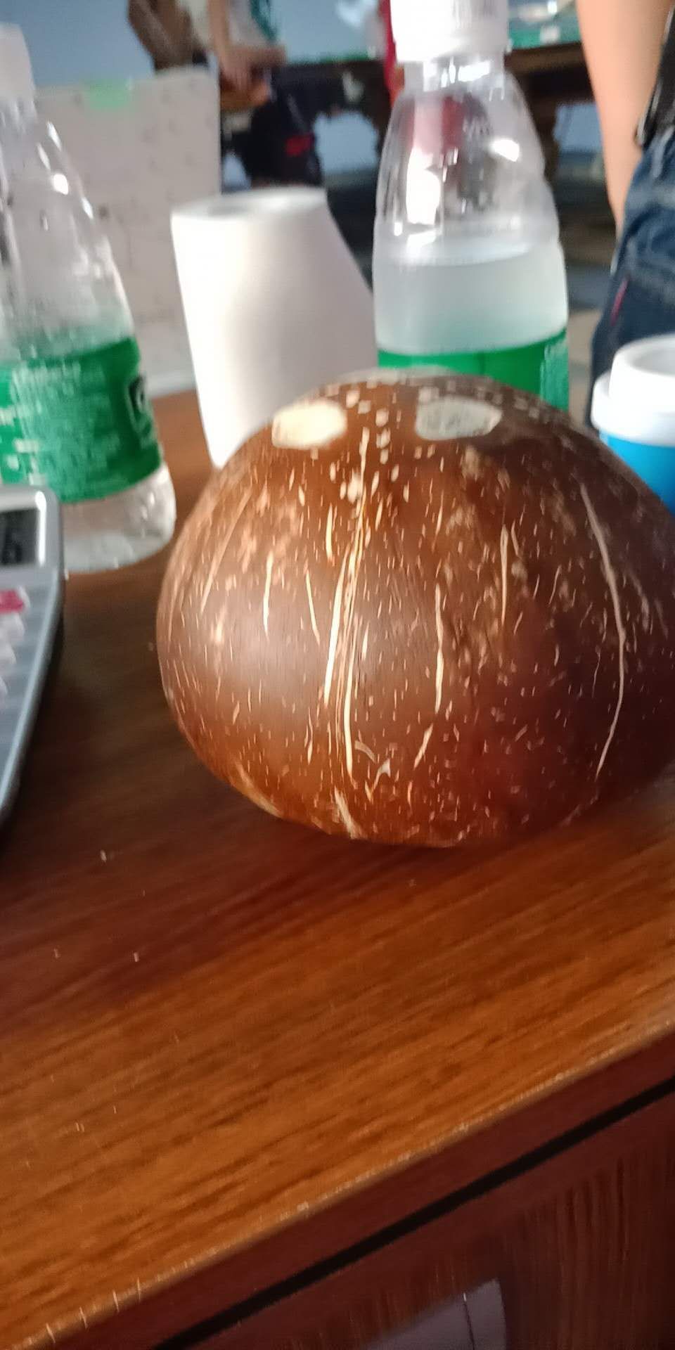  椰皇