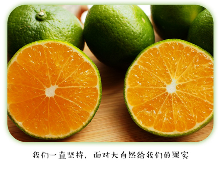 蜜桔