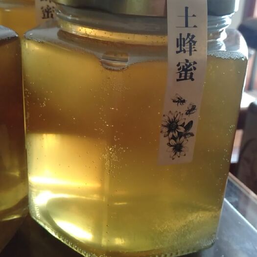 龙川县 土蜂蜜