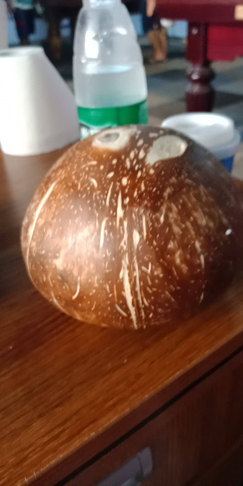  椰皇