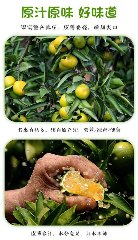 蜜桔