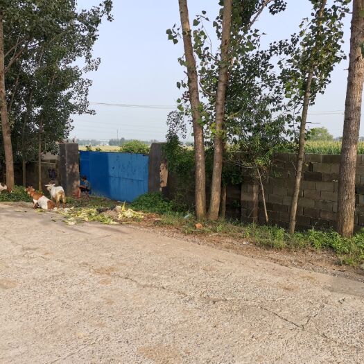 枣庄工业用地 3亩场地五间房子出租适合修车等