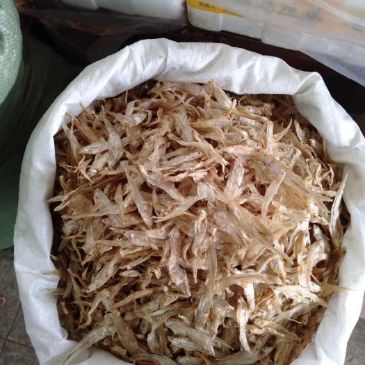 上海公干鱼 小干鱼