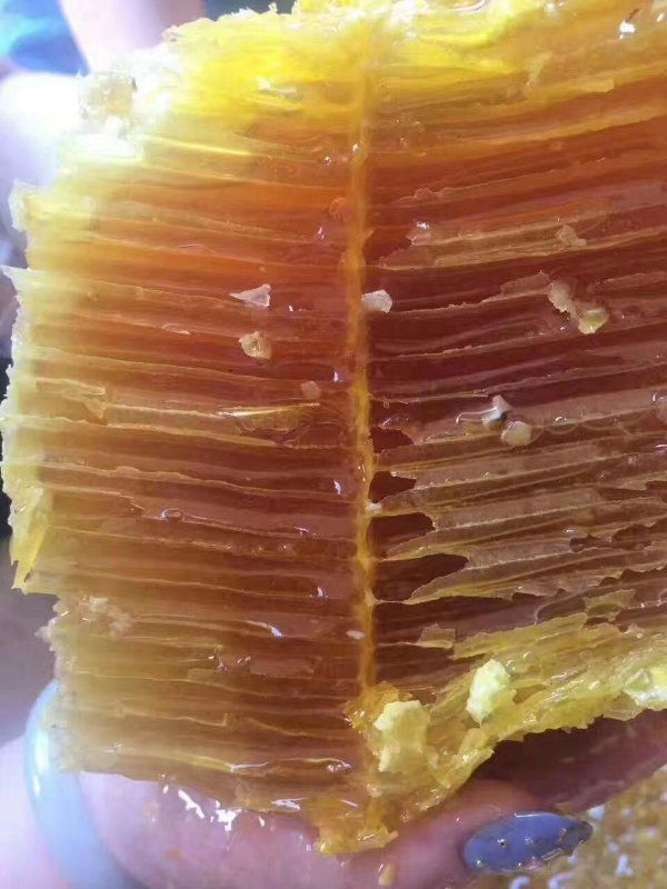  缅甸蜂蜜