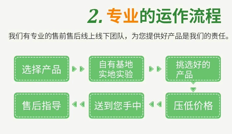 12.5%阿维啶虫脒白粉虱蚜虫蓟马稻飞虱红蜘蛛杀虫剂