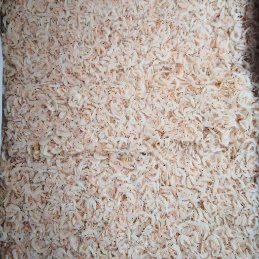 厦门 淡干无盐虾皮