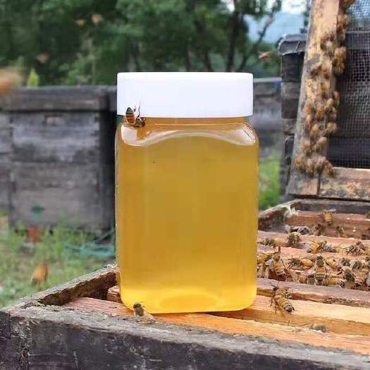 石楼县 蜂蜜纯正天然农家土蜂自产洋槐蜜枣花蜜百花蜜500g