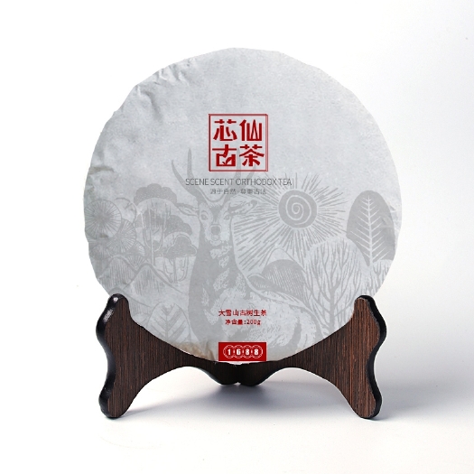 厦门 古树普洱