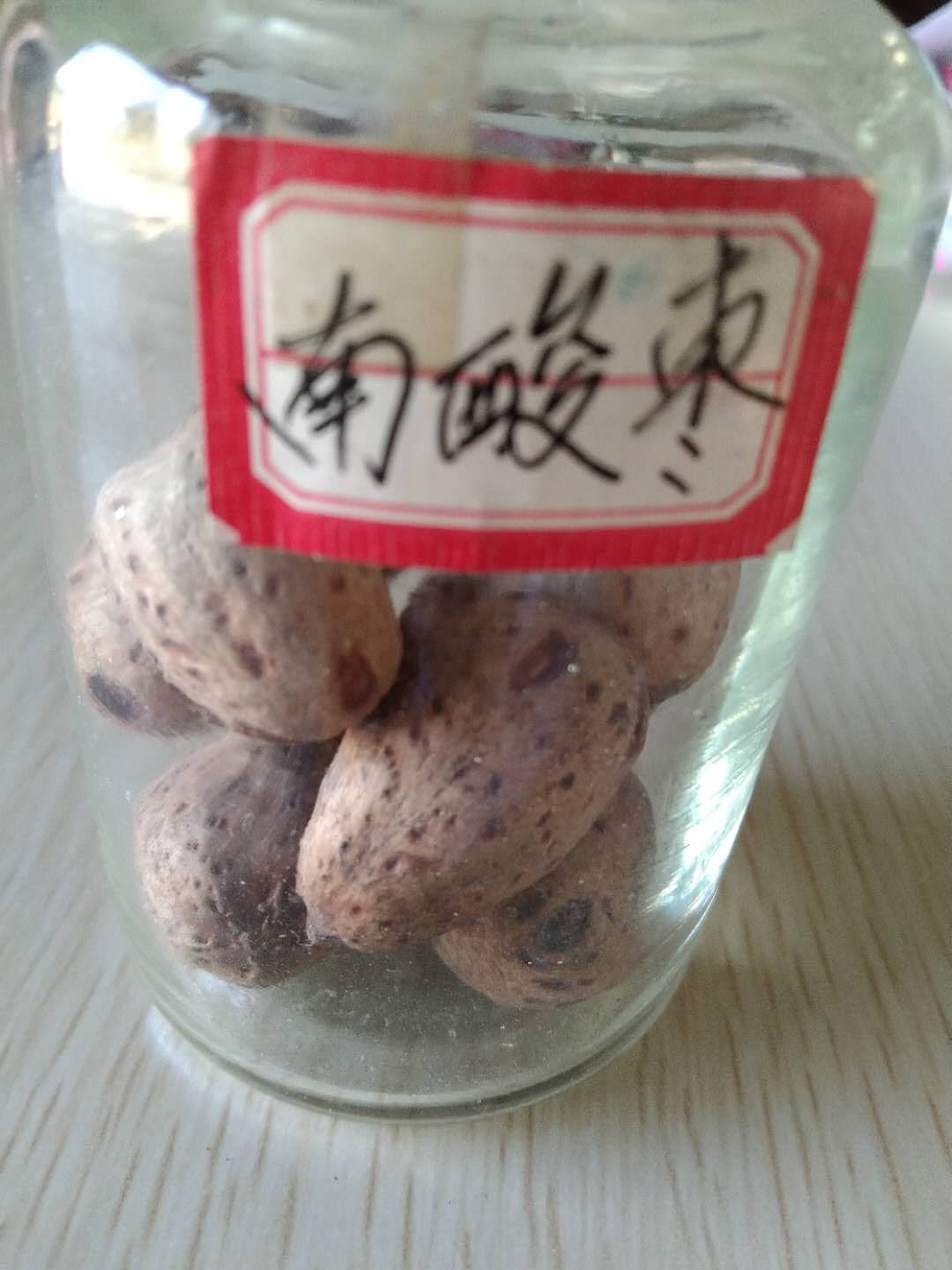 九江南酸枣种子 哪里的南山种子最好