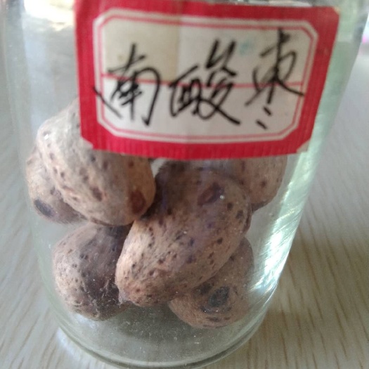 九江南酸枣种子 哪里的南山种子最好