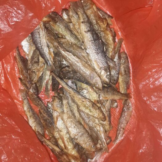剑河县小鱼干 贵州省剑河县剑河小溪清水鱼