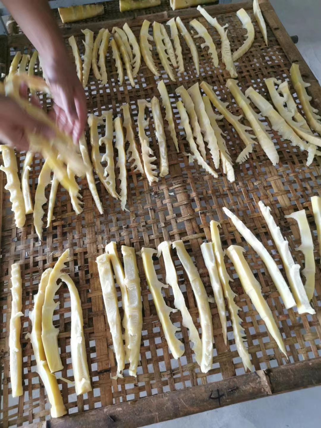 竹笋干 无硫笋