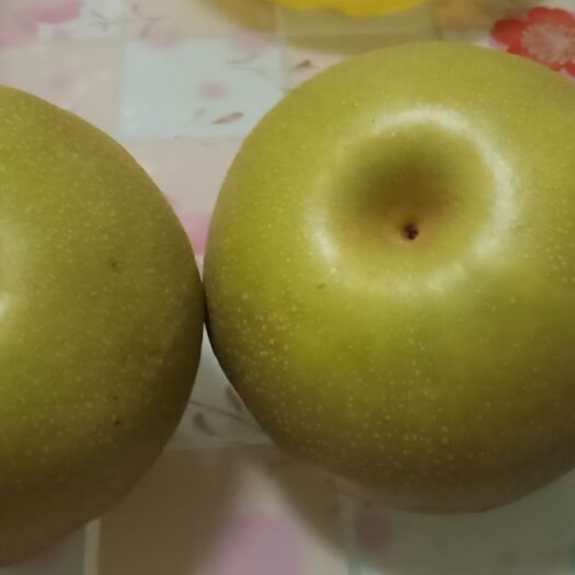 平度市 华山梨，甜，脆无核无渣，耐储存，