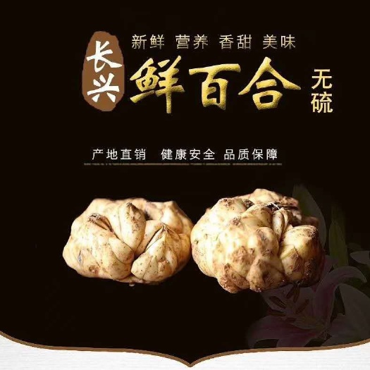 长兴县 新鲜百合