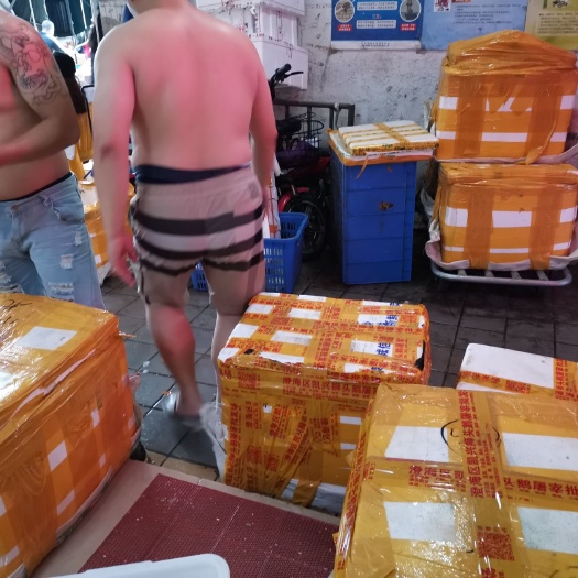 汕头正宗狮头鹅！鹅头，鹅肝，鹅肠，鹅肾，掌，亦……什么都有