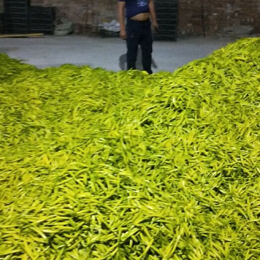 大荔县大荔黄花菜 产地直供，物美价廉