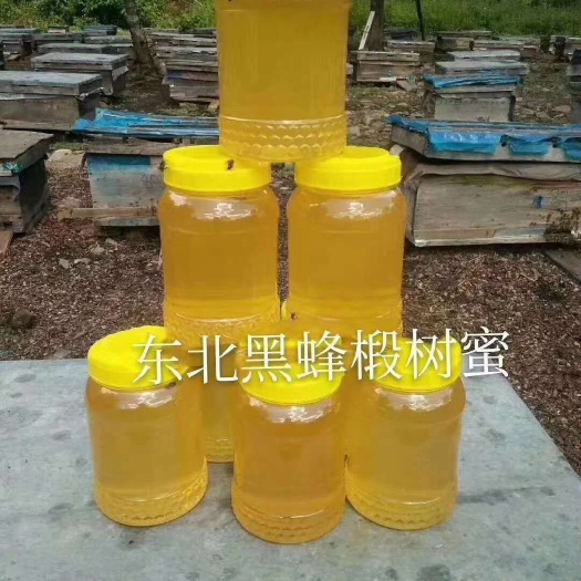 宁安市黑龙江牡丹江江椴树蜜