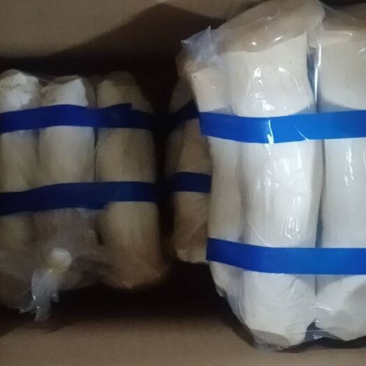 中牟县 鲜杏鲍菇，保证质量。
