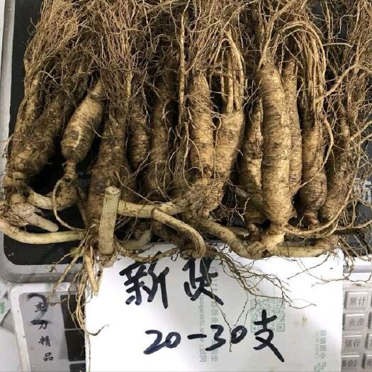 抚松县长白山带土鲜人参，煲汤炖鸡，长白山原产地批发直销，自家种植