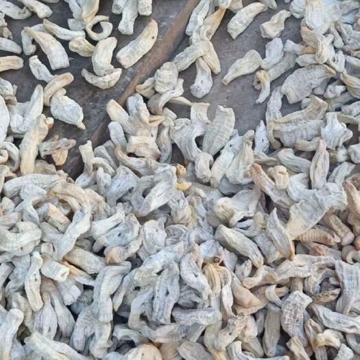 成都楠竹笋干 干玉兰