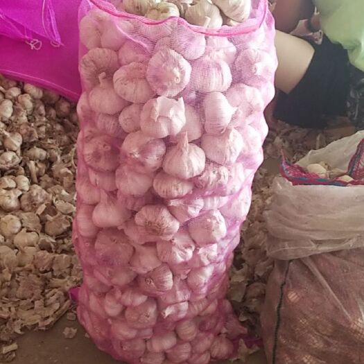 金乡大蒜  金乡红皮大蒜(代发全国各地)