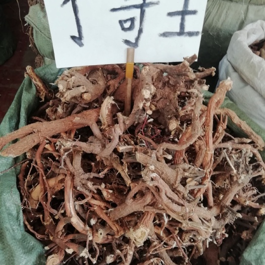  了哥王全根，新货原生了哥王根，雀仔麻 九信草