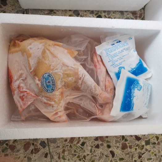 武平县白条鸡 散养河田鸡象洞鸡冰鲜阉鸡小母鸡