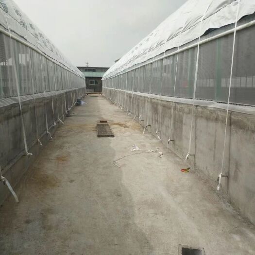 天津钢管大棚  本店提供（各种养殖暖棚、种植蔬菜水果大棚，）