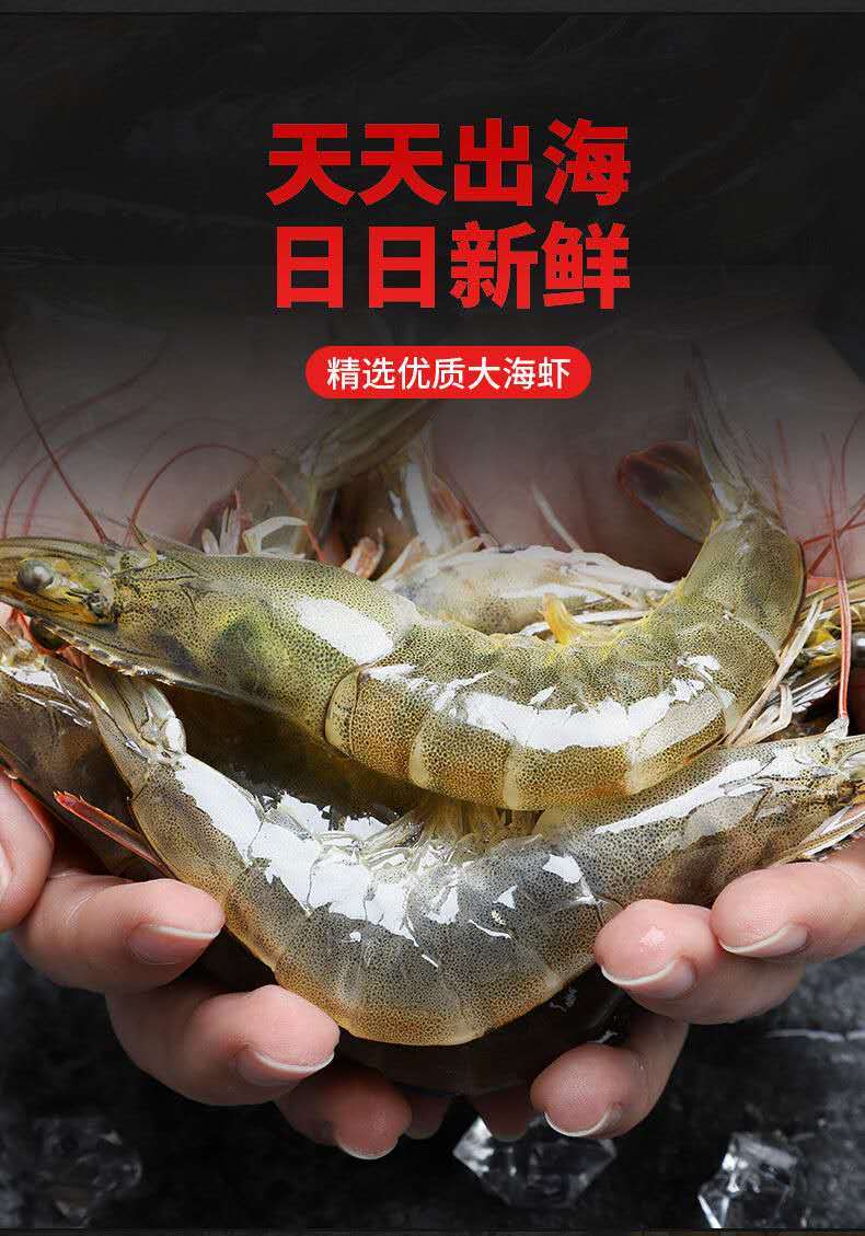 基围虾  刀额新对虾 【包邮】新鲜超大虾鲜活冷冻深海虾青虾整