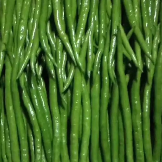 费县精品线椒！产地直供！质优价廉！