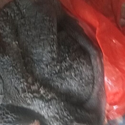 大厂县牛百叶 牛肚
