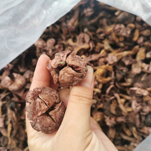 隆化县蘑菇  肉蘑干货，无根，颜色好，割的花