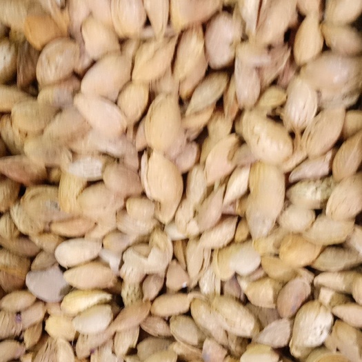 疏附县 大量批发供应各种巴旦木等干果需要时随时随地都行