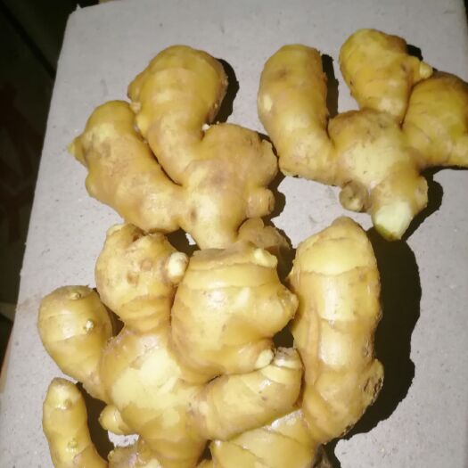 莒县老姜 山东货源一手地