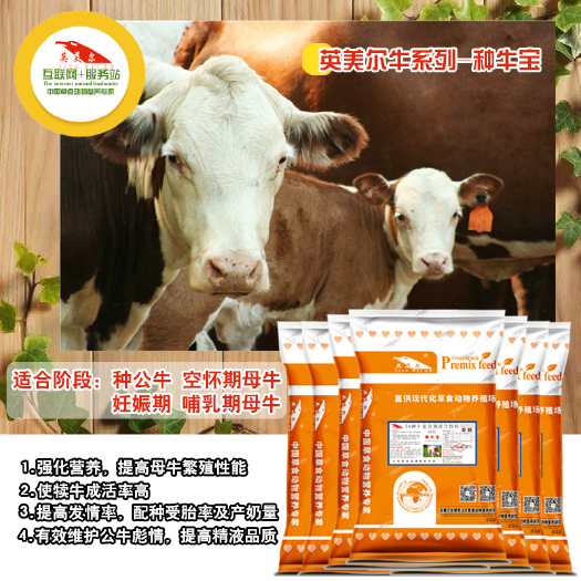 徐州牛羊饲料  繁殖母牛种牛性能提高，母牛奶质好，犊牛成活率高，营养全面
