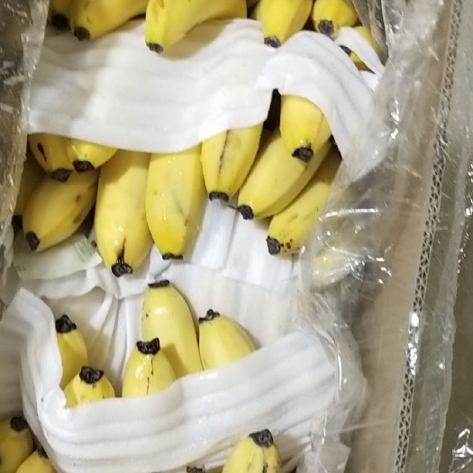 徐州精品香蕉