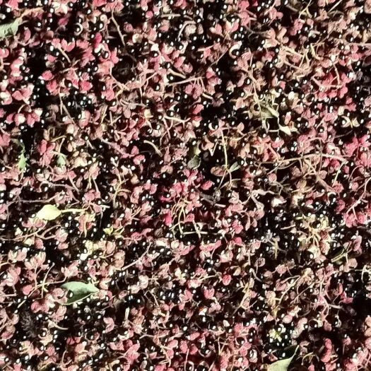 平邑县 大量出售优质花椒