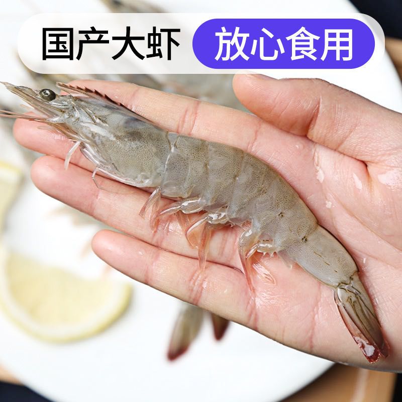 近缘新对虾   【顺丰冷链】海捕大虾整箱超大虾 基围虾超大冻虾对虾青虾海鲜
