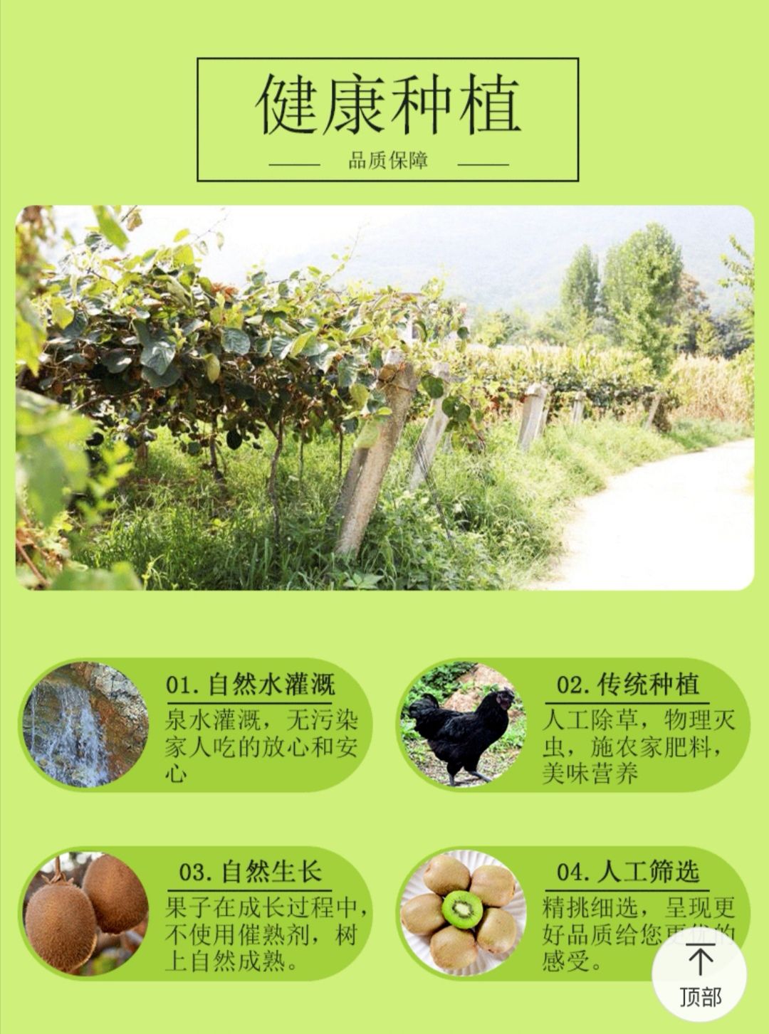 【酸甜黄金比例】眉县徐香绿心猕猴桃新鲜当季水果30枚产地直发