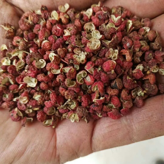 富平县大红袍花椒  韩城大红袍，新货！色红质优！