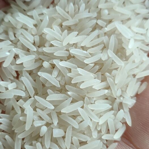 桂林丝苗米  大量供应象牙米，砂锅饭煲仔饭专用米。