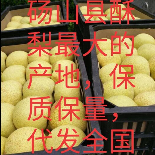 砀山县 精品酥梨，电商，超市，颜色好，皮薄，脆甜，代发全国