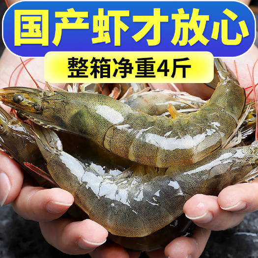 基围虾  刀额新对虾 【包邮】新鲜超大虾鲜活冷冻深海虾青虾整
